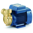 Eletrobomba Periférica Pedrollo PQm81-Bs 230V - Eletrobomba Periférica Pedrollo PQm81-Bs 230V