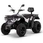 Moto 4 LINHAI ATV M210 EFI 2x4 - Moto 4 LINHAI ATV M210 EFI 2x4