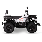 Moto 4 LINHAI ATV M210 EFI 2x4 - Moto 4 LINHAI ATV M210 EFI 2x4