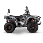 Moto 4 LINHAI ATV LH500 PROMAX EFI 4X4 - Moto 4 LINHAI ATV LH500 PROMAX EFI 4X4