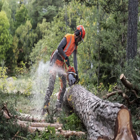 Corrente de Motosserra Husqvarna X-CUT C33 Cinzel .325