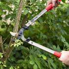 Tijeras de podar Felco 201-50 - Tesourão de Poda Felco 201-50