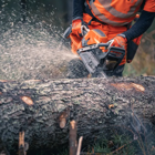 Motosserra Husqvarna 592XP® Evolution 90cc 7HP