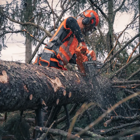 Motosserra Husqvarna 592XP® Evolution 90cc 7HP