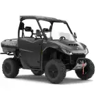 Buggy Segway UTV Fugleman UT10  - Buggy Segway UTV Fugleman UT10