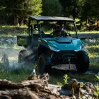 Buggy Segway UTV Fugleman UT6 - Buggy Segway UTV Fugleman UT6