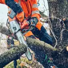 Husqvarna T542i XP Professional Pruning Chainsaw NEW - Motosserra Podador Profissional Husqvarna T542i XP NEW