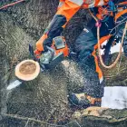 Husqvarna T542i XP Professional Pruning Chainsaw NEW - Motosserra Podador Profissional Husqvarna T542i XP NEW