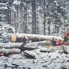 Husqvarna S35G X-Cut Chain .325´.058´ 1.5MM 72 LINKS - Husqvarna S35G X-Cut Chain .325´.058´ 1.5MM 72 LINKS