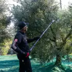 Varejador a Bateria Karbonium Zanon X Light AL 300 - Varejador a Bateria Karbonium Zanon X Light AL 300