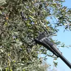 Varejador a Bateria Karbonium Zanon X Light AL 300 - Varejador a Bateria Karbonium Zanon X Light AL 300