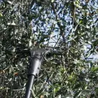 Varejador a Bateria Karbonium Zanon X Light AL 300 - Varejador a Bateria Karbonium Zanon X Light AL 300