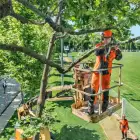 Motosserra Podadora Husqvarna T435 - Motosserra Podadora Husqvarna T435