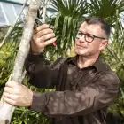 Tesoura de Poda Felco 11 c/ Oferta de Gorro - Tesoura de Poda Felco 11 c/ Oferta de Gorro