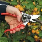 Tesoura de Poda Felco 9 c/ Oferta de Luvas T9 - Bernardinos, Aquela Máquina