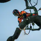 Motosserra Podadora Profissional Husqvarna T540i XP - Motosserra Podador Profissional Husqvarna T540i XP