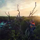 Motosserra Podadora Profissional Husqvarna T540i XP - Motosserra Podador Profissional Husqvarna T540i XP