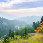 Robot Destroçador de Mato a Diesel LV 400 X c/ Controlo Remoto - Robot Destroçador de Mato a Diesel LV 400 X c/ Controlo Remoto