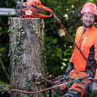 Motosserra Husqvarna 545XP Mark II – PROFISSIONAL - Motosserra Husqvarna 545XP Mark II – PROFISSIONAL