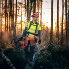 Motosserra Husqvarna 560XP AUTOTUNE - Motosserra Husqvarna 560XP AUTOTUNE