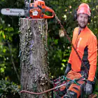 Motosserra Husqvarna 545XP Mark II – PROFISSIONAL - Motosserra Husqvarna 545XP Mark II – PROFISSIONAL