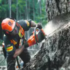 Motosserra Husqvarna 545XP Mark II – PROFISSIONAL - Motosserra Husqvarna 545XP Mark II – PROFISSIONAL