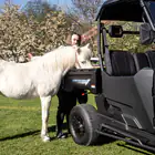 Buggy Linhai UTV LH 80DU 2x4 Elétrico - Buggy Linhai UTV LH 80DU 2x4 Elétrico