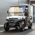 Buggy Linhai UTV LH 80DU 2x4 Elétrico - Buggy Linhai UTV LH 80DU 2x4 Elétrico