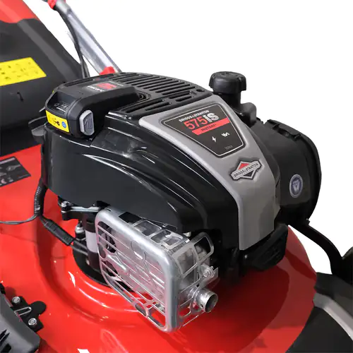 Briggs & Stratton Motor