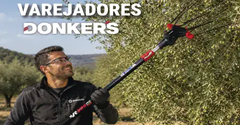 Varejadores: A Tecnologia Moderna na Colheita da Azeitona!