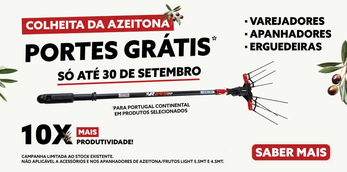 Feira Colheita da Azeitona