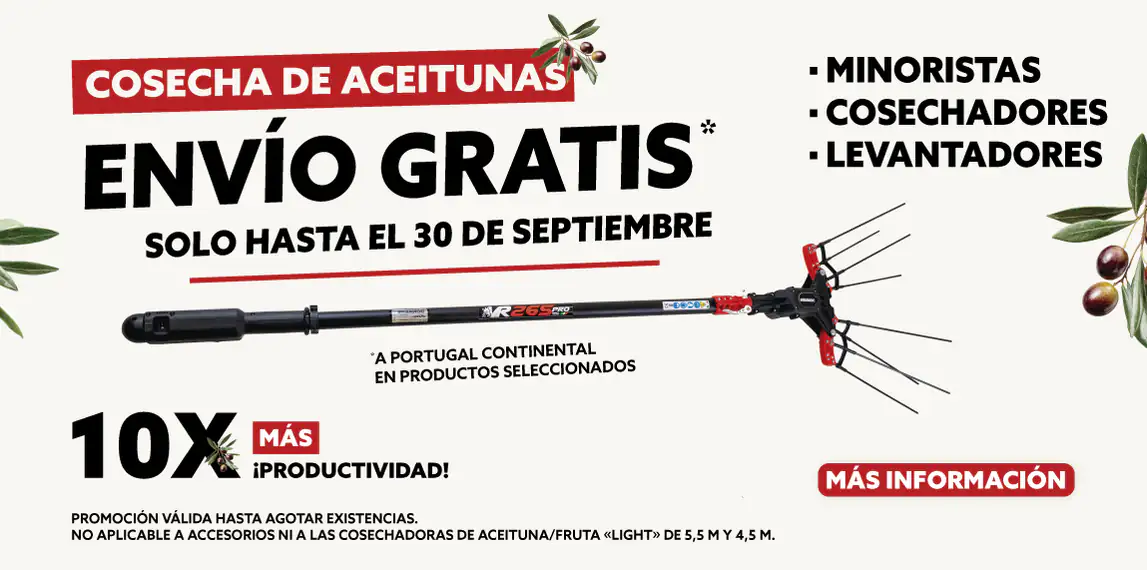 Feira: Colheita da Azeitona