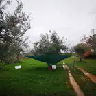 Light Olive/Fruit Picker 5MT