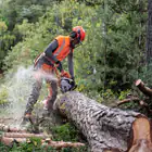 Corrente p/Motosserra Husqvarna X-CUT C35 .325